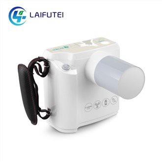 Handfesta dýralæknir